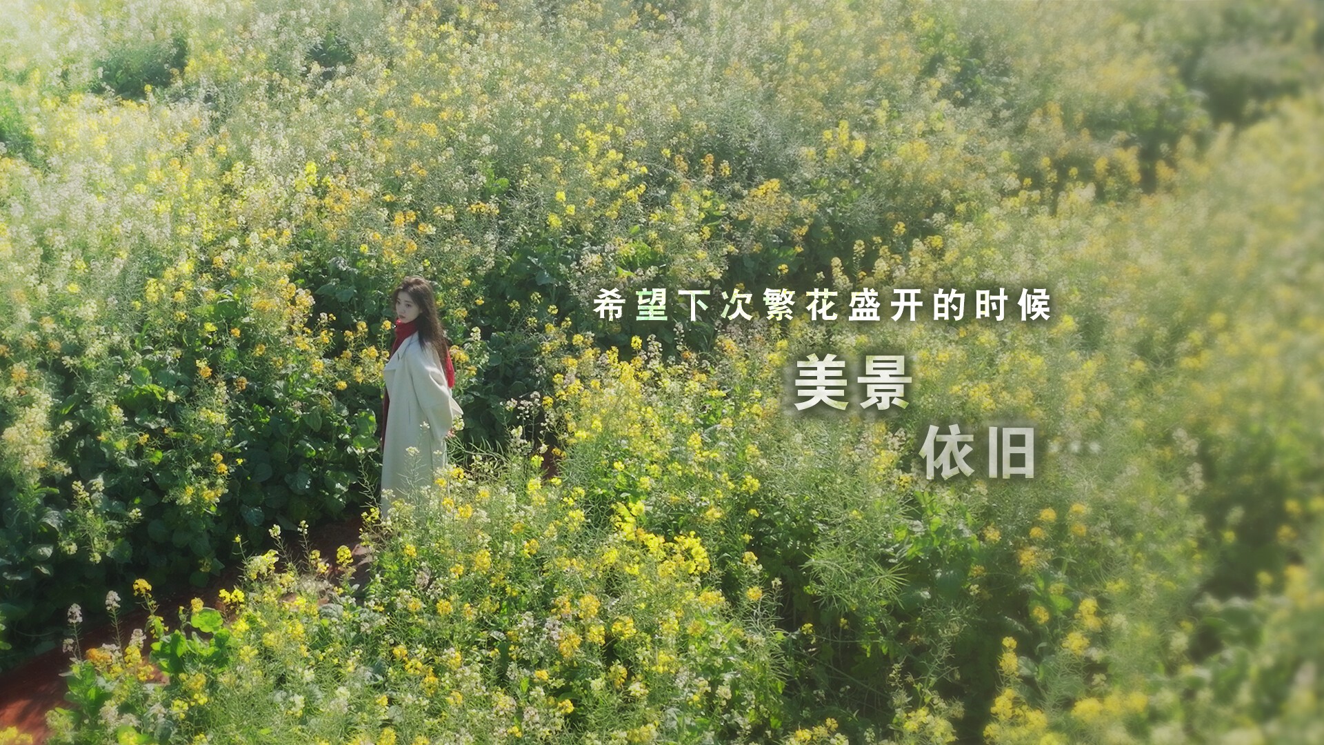 这个是真的喜欢！【真人互动/多结局】