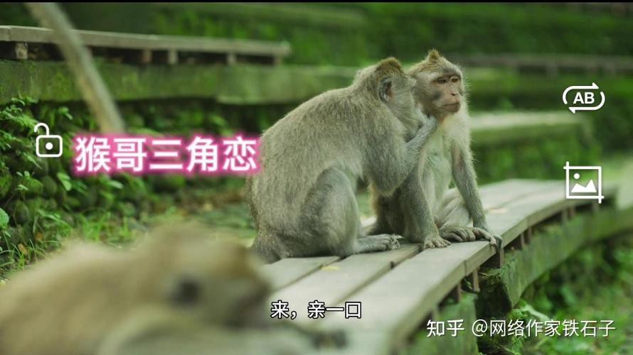 三角恋